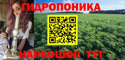 скорость Будённовск