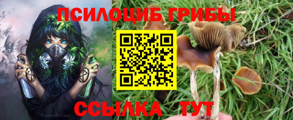 Галлюциногенные грибы MAGIC MUSHROOMS  Псилоцибиновые грибы мухоморы  Ярцево  купить наркоту  Вход с VPN 