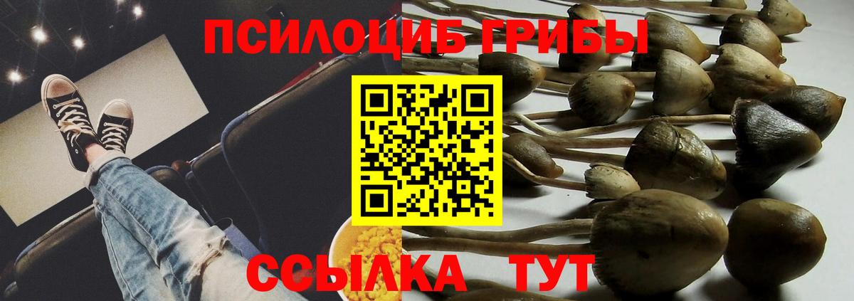 Псилоцибиновые грибы мухоморы Ярцево